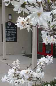 Welcome - Spring
